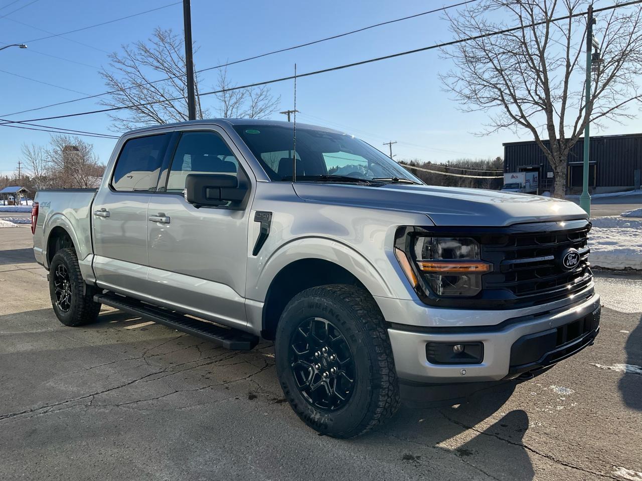 2025 Ford F-150 XLT Photo