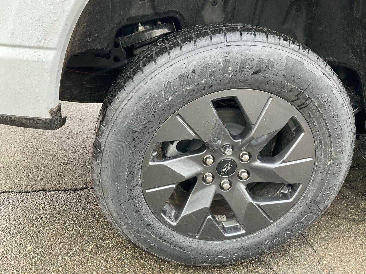 2024 Ford F-150 Lightning XLT Photo5