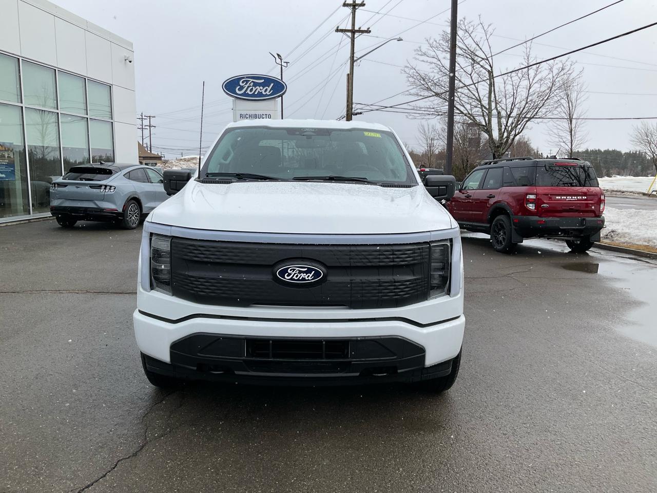 2024 Ford F-150 Lightning XLT Photo