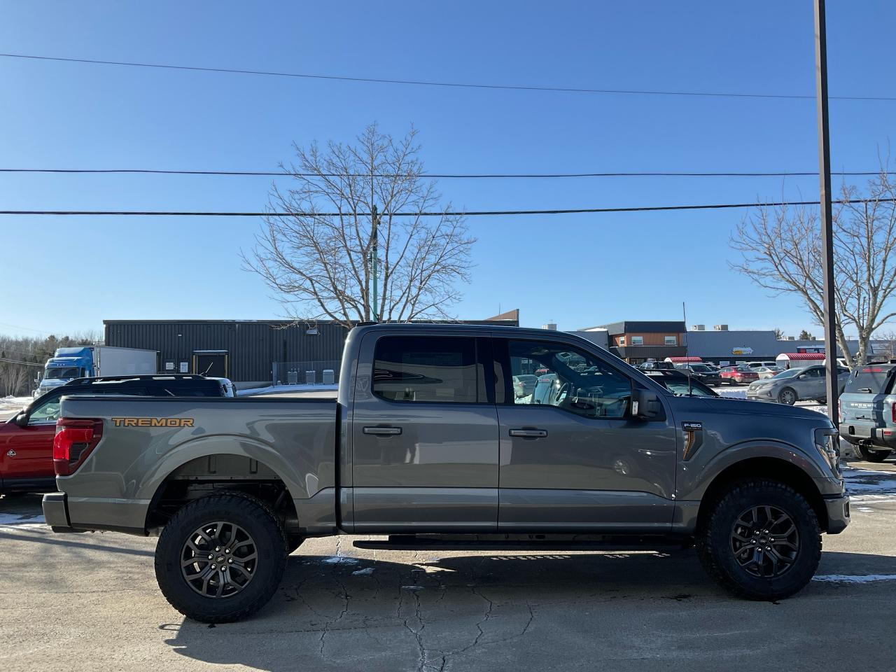 2025 Ford F-150 Tremor Photo4