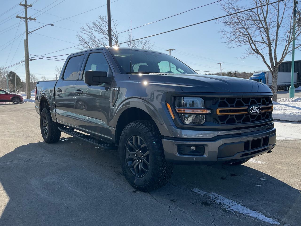 2025 Ford F-150 Tremor Photo