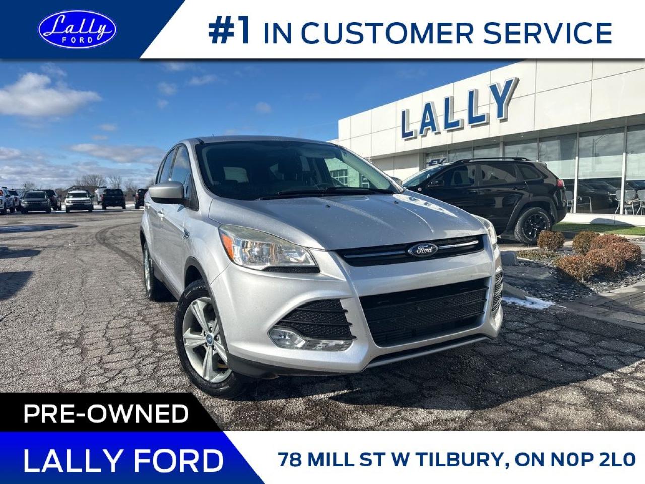 Used 2013 Ford Escape SE, Mint, Priced to Sell!! for sale in Tilbury, ON