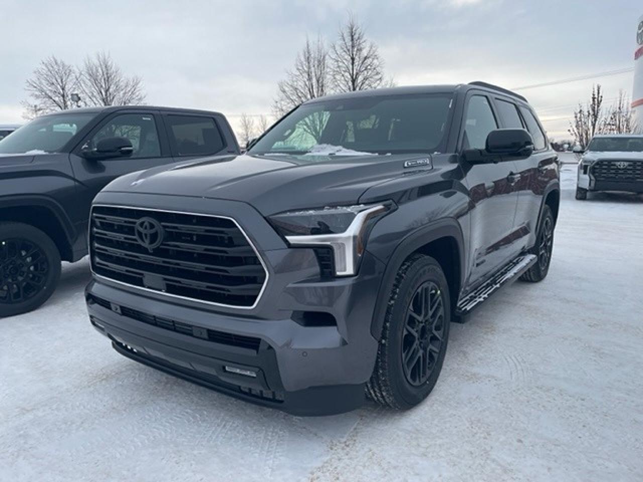 New 2025 Toyota Sequoia Limited Nightshade for sale in Portage la Prairie, MB