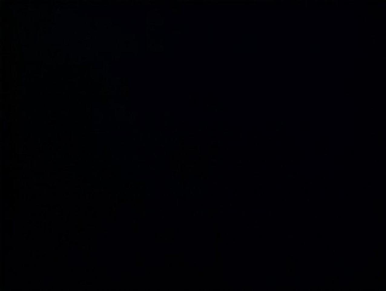 12073126