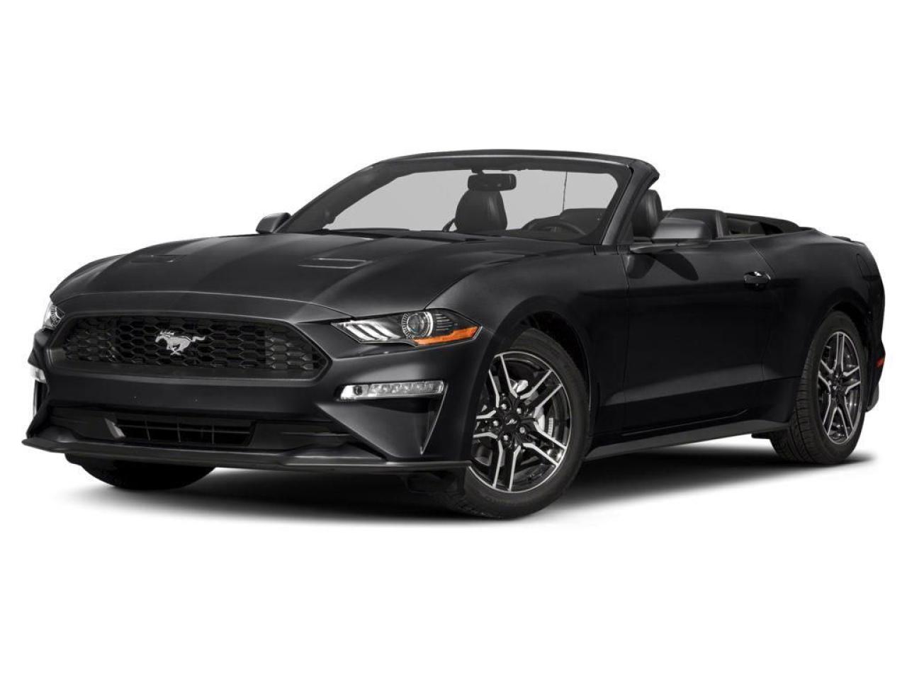 Used 2019 Ford Mustang EcoBoost Premium for sale in Sault Ste. Marie, ON