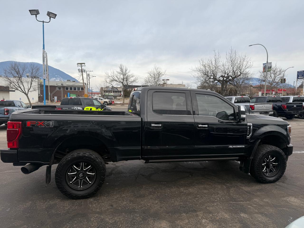 2021 Ford F-350 Super Duty SRW PLATINUM Photo5