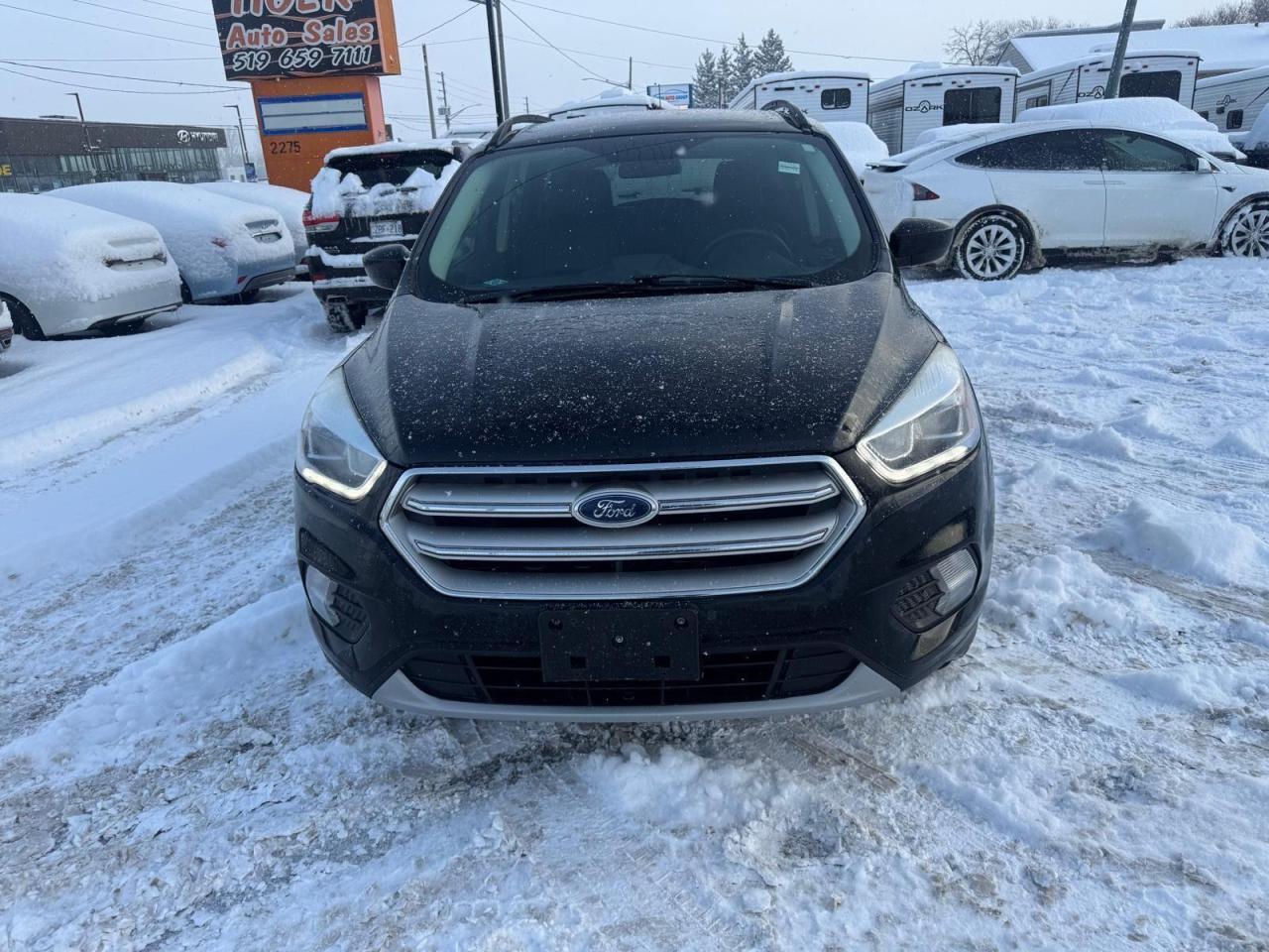 2018 Ford Escape SEL, 4X4, 180KMS, LEATHER, LOADED, NO ACCIDENT, - Photo #8