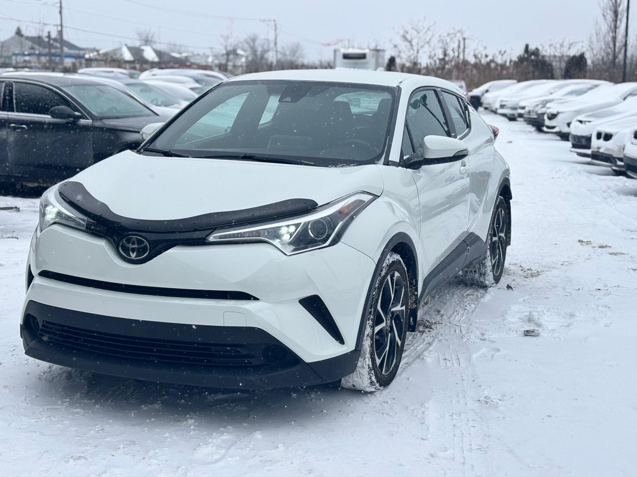 2019 Toyota C-HR  - Photo #3