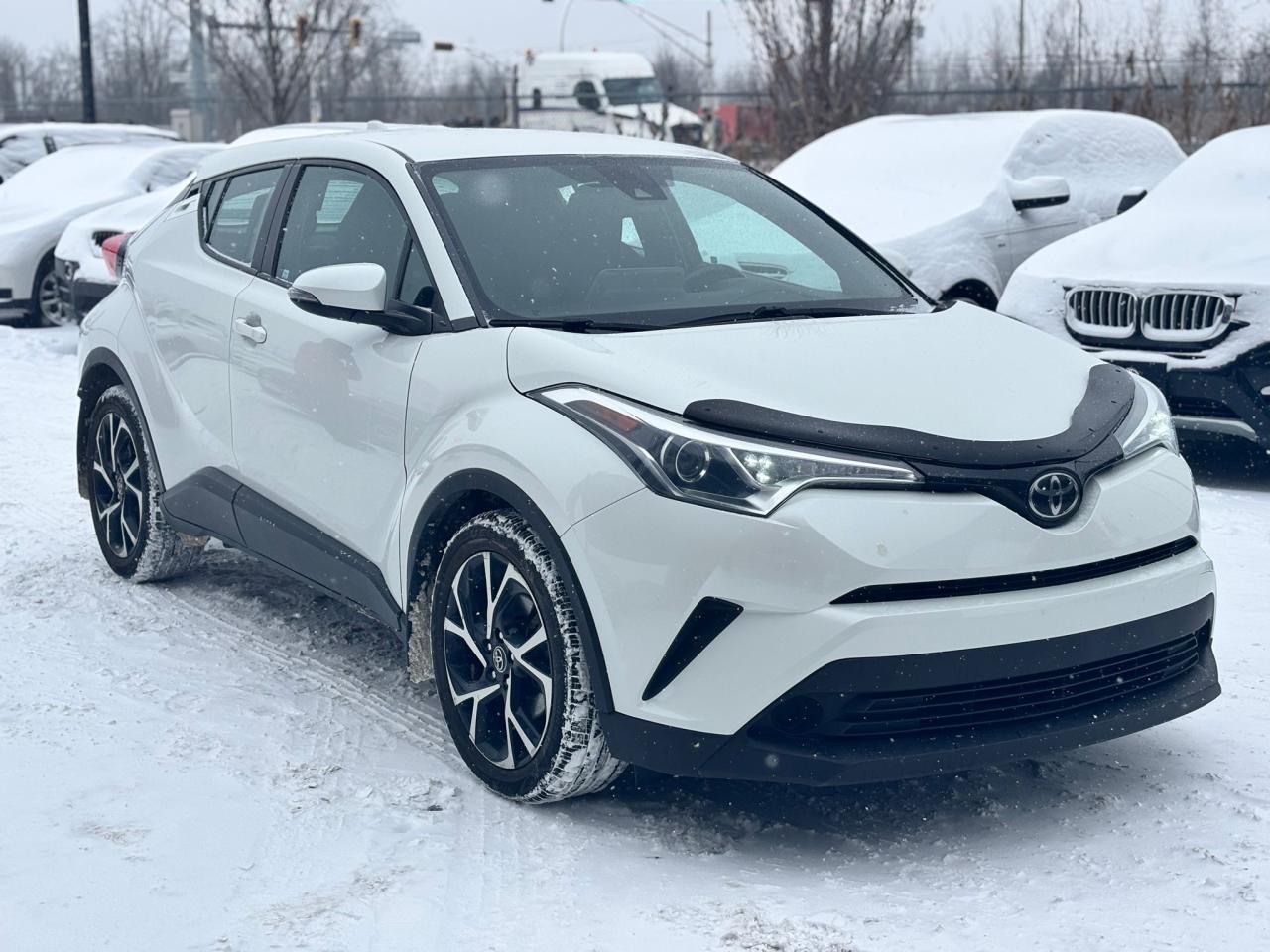 2019 Toyota C-HR  - Photo #4