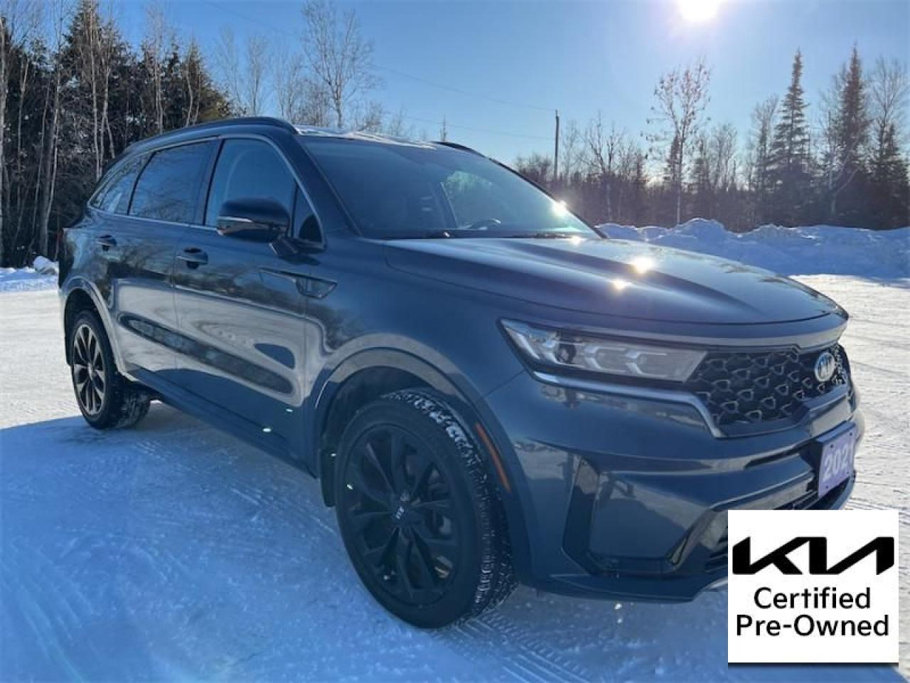 Used 2021 Kia Sorento EX  Leather Seats - $237 B/W - Low Mileage for sale in Timmins, ON