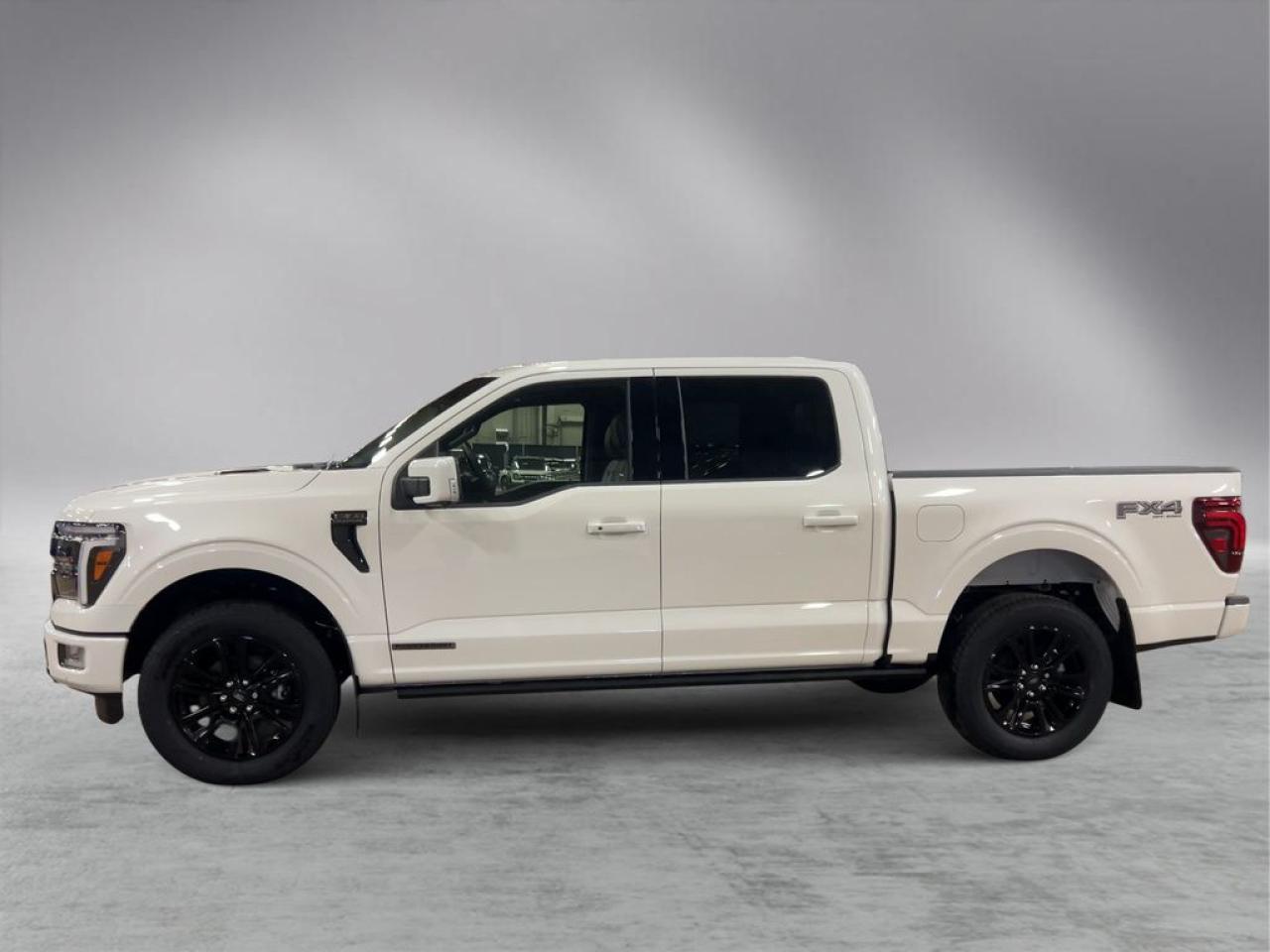 2025 Ford F-150 PLATINUM 5.5' Box 702A Photo4