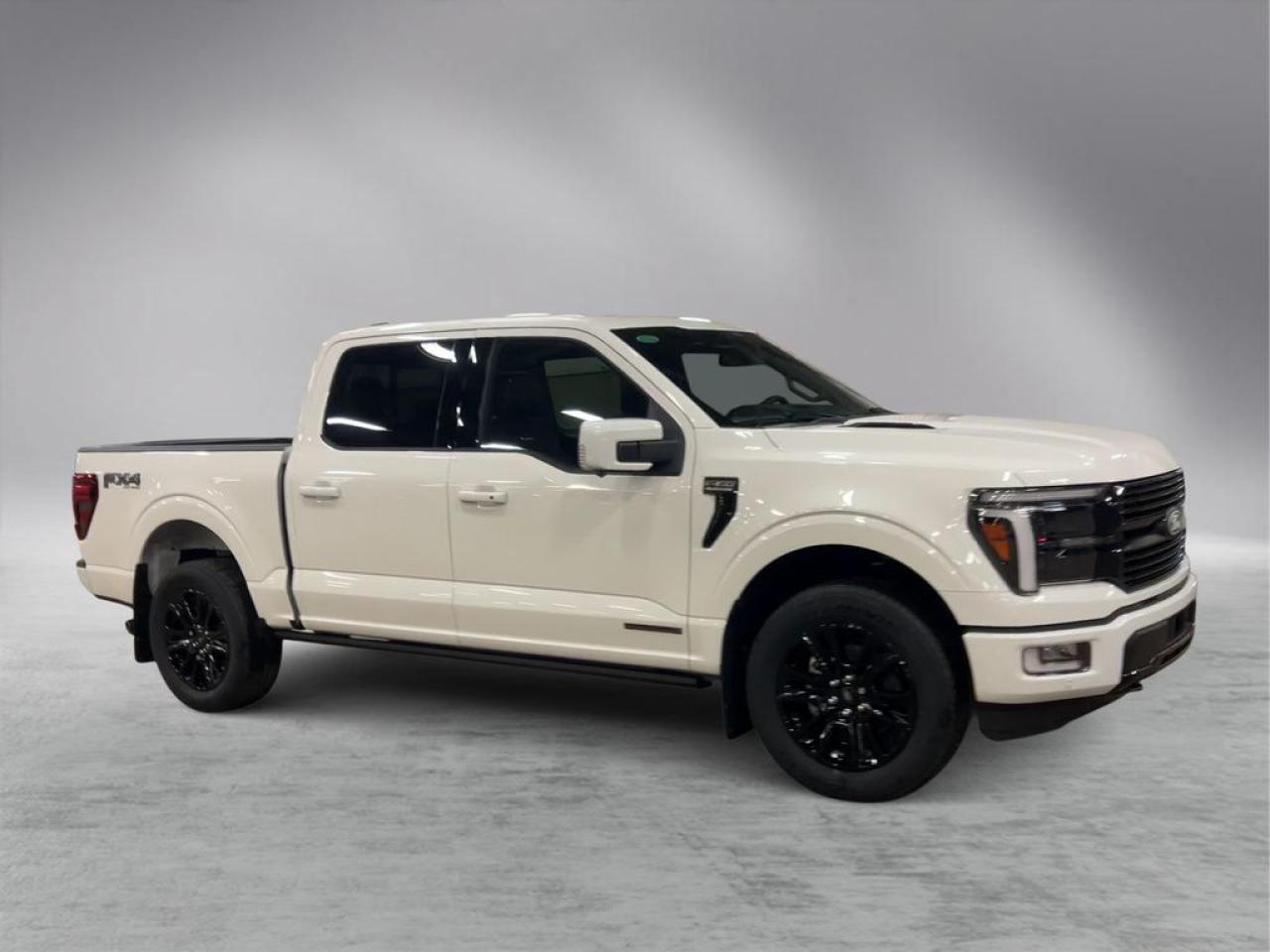 2025 Ford F-150 PLATINUM 5.5' Box 702A Photo1