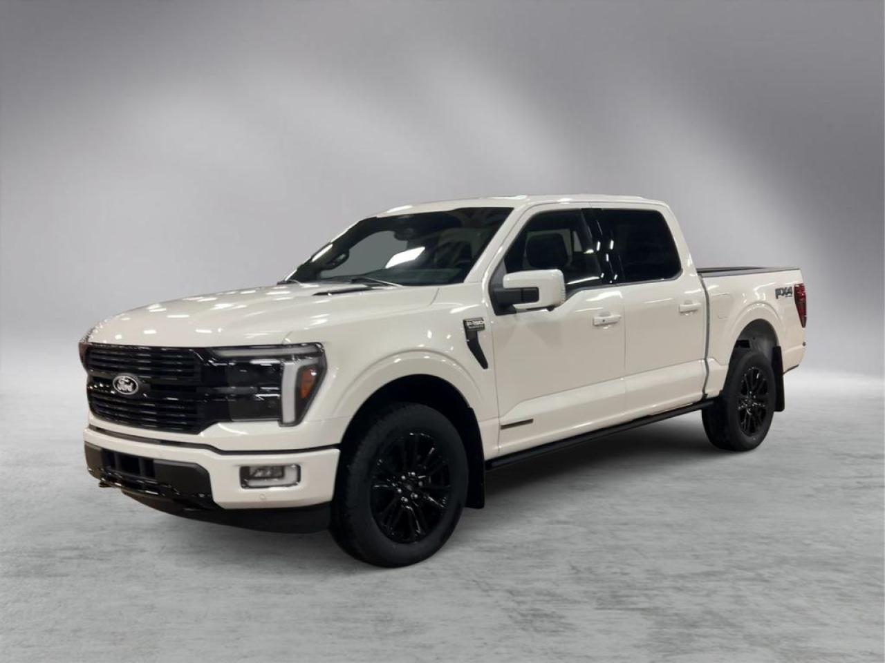 2025 Ford F-150 PLATINUM 5.5' Box 702A Photo3