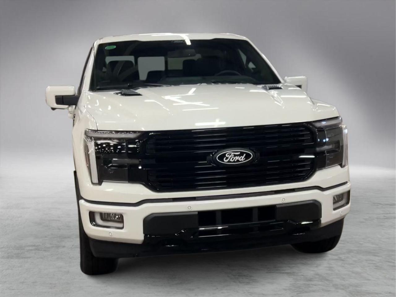 2025 Ford F-150 PLATINUM 5.5' Box 702A Photo2