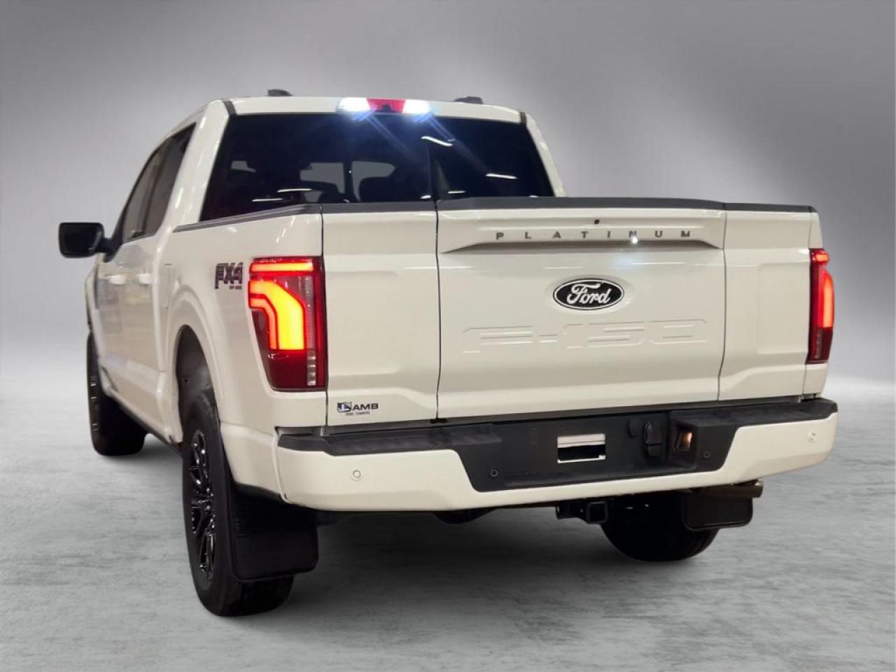 2025 Ford F-150 PLATINUM 5.5' Box 702A Photo5
