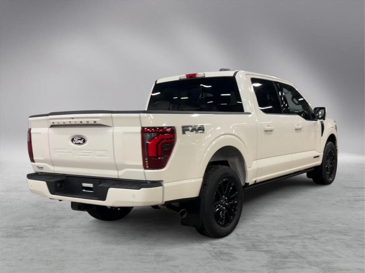 2025 Ford F-150 PLATINUM 5.5' Box 702A Photo5