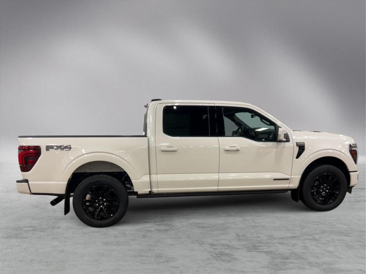 2025 Ford F-150 PLATINUM 5.5' Box 702A Photo5
