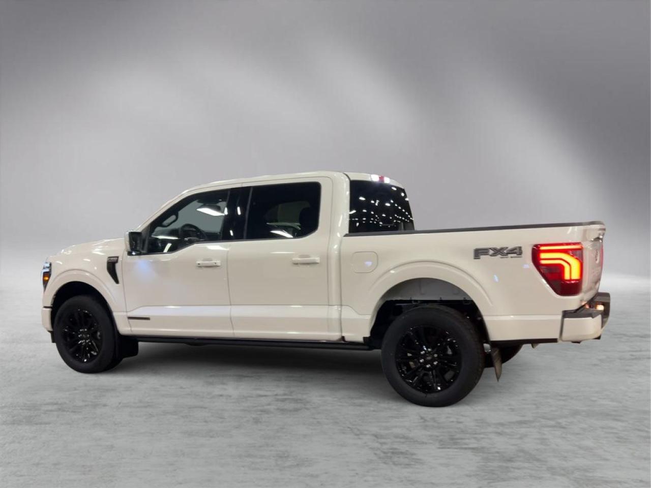 2025 Ford F-150 PLATINUM 5.5' Box 702A Photo5