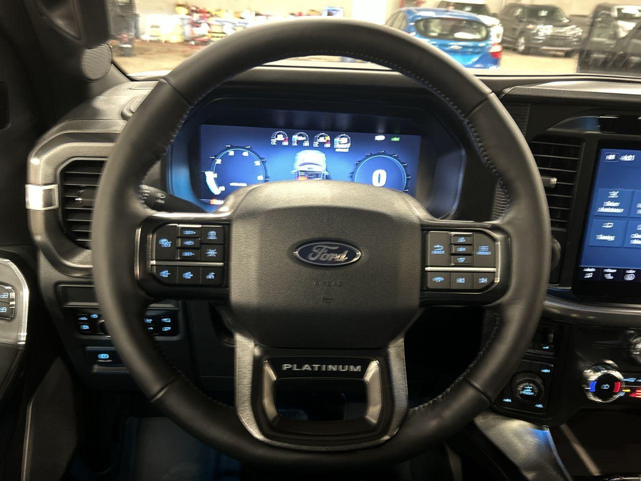 2025 Ford F-150 PLATINUM 5.5' Box 702A Photo5