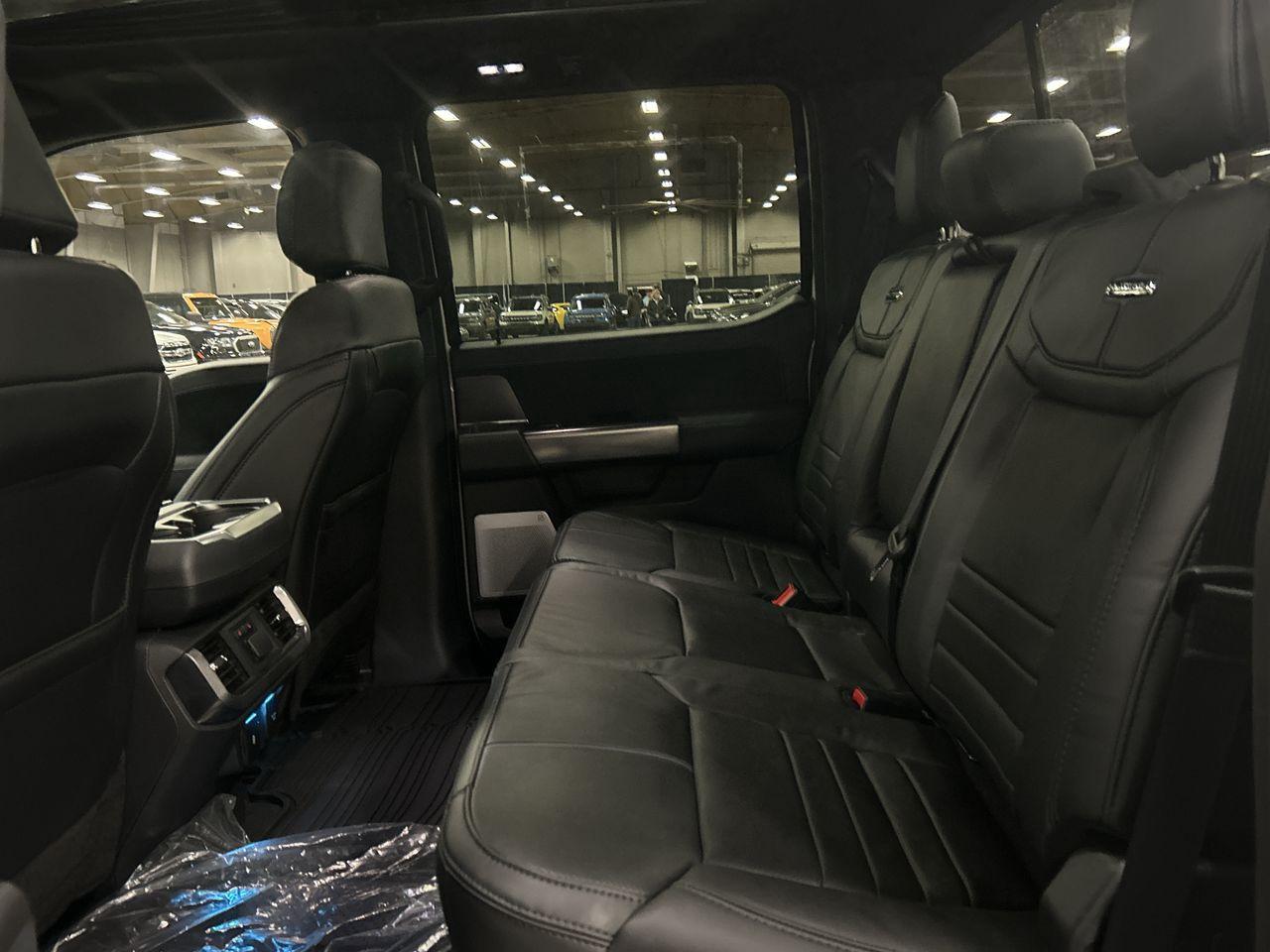 2025 Ford F-150 PLATINUM 5.5' Box 702A Photo5
