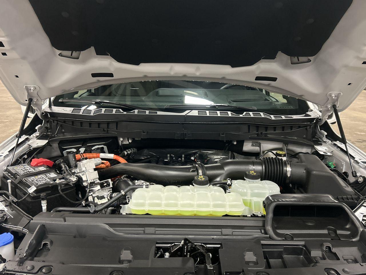 2025 Ford F-150 PLATINUM 5.5' Box 702A Photo5