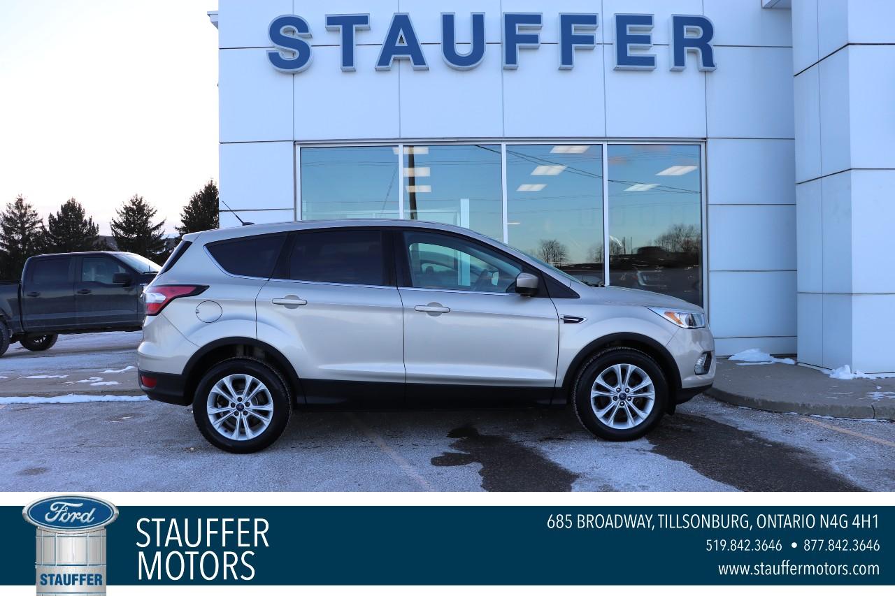 Used 2017 Ford Escape SE FWD 4dr for sale in Tillsonburg, ON