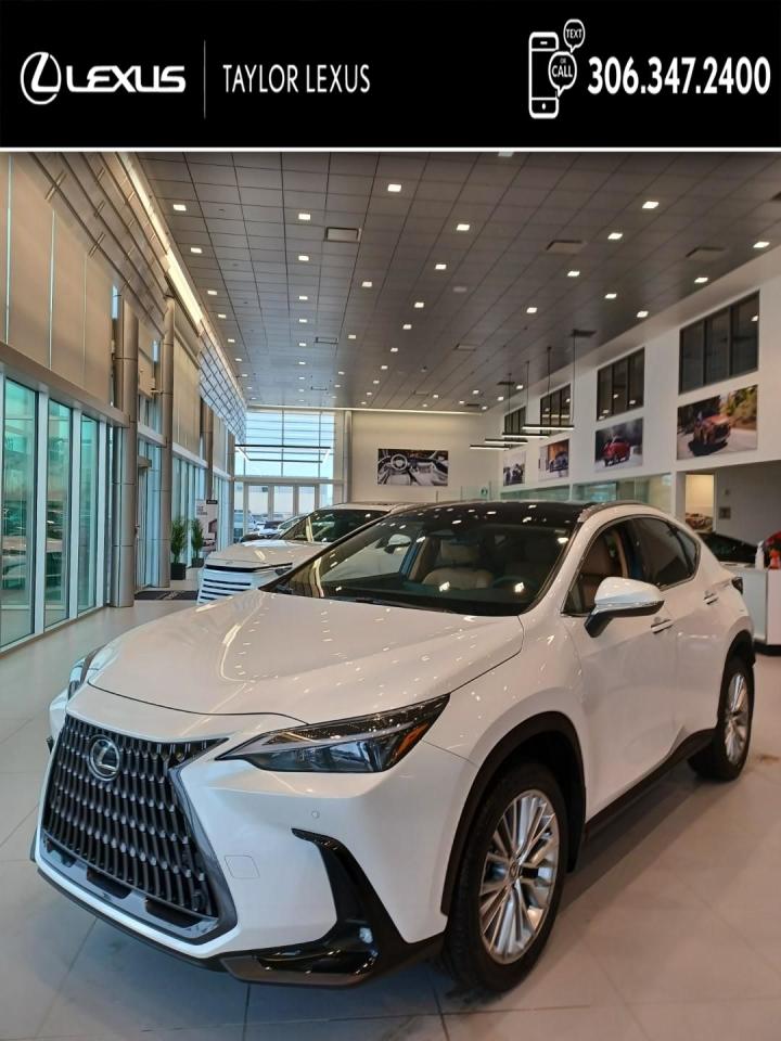 New 2025 Lexus NX 350h for sale in Regina, SK