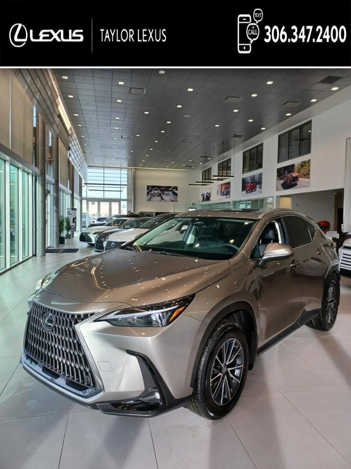 New 2025 Lexus NX 350h for sale in Regina, SK