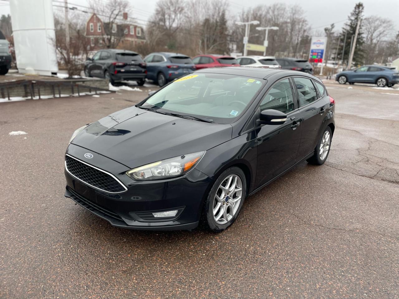 2015 Ford Focus SE Photo