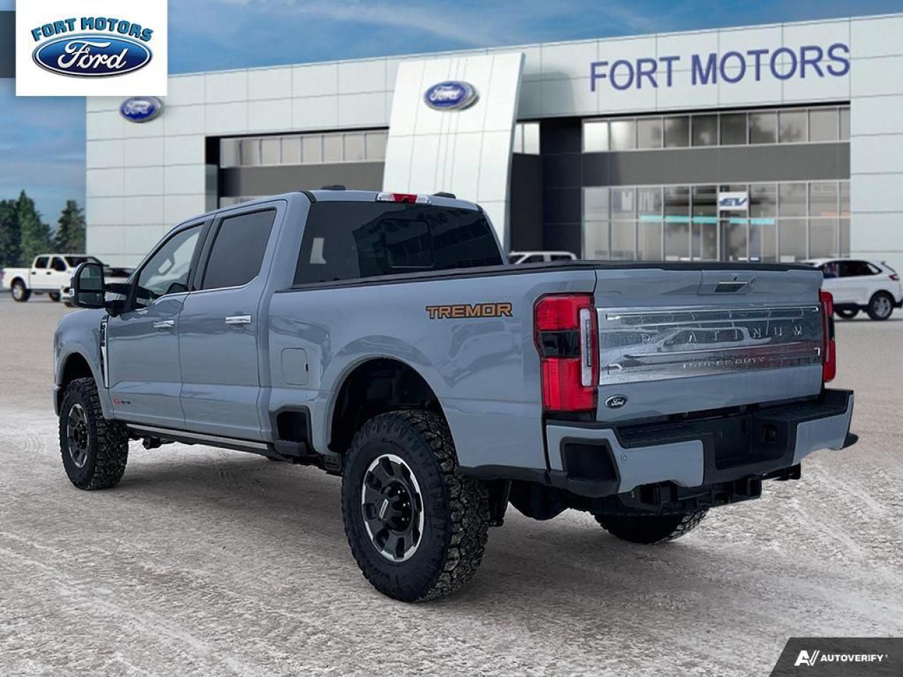 2024 Ford SUPERDUTY F-350® Platinum Photo3