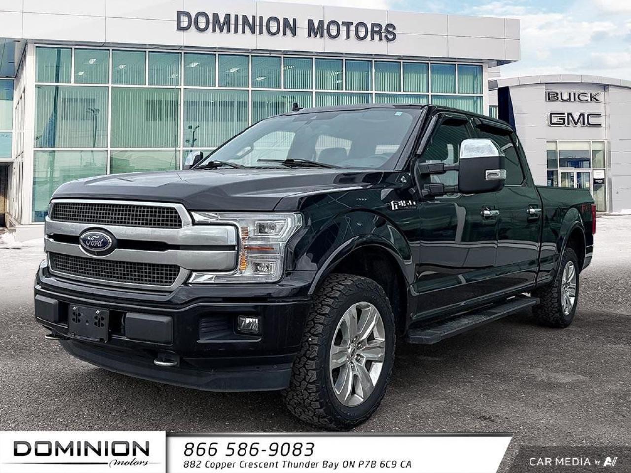 Used 2020 Ford F-150 PLATINUM for sale in Thunder Bay, ON