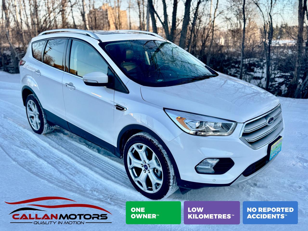 Used 2018 Ford Escape Titanium 4WD Pano-Roof | One Owner | Clean Carfax for sale in Perth, ON