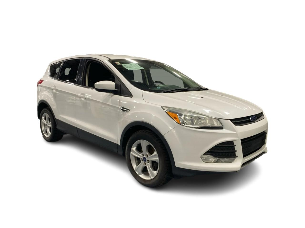 2014 Ford Escape SE Photo2