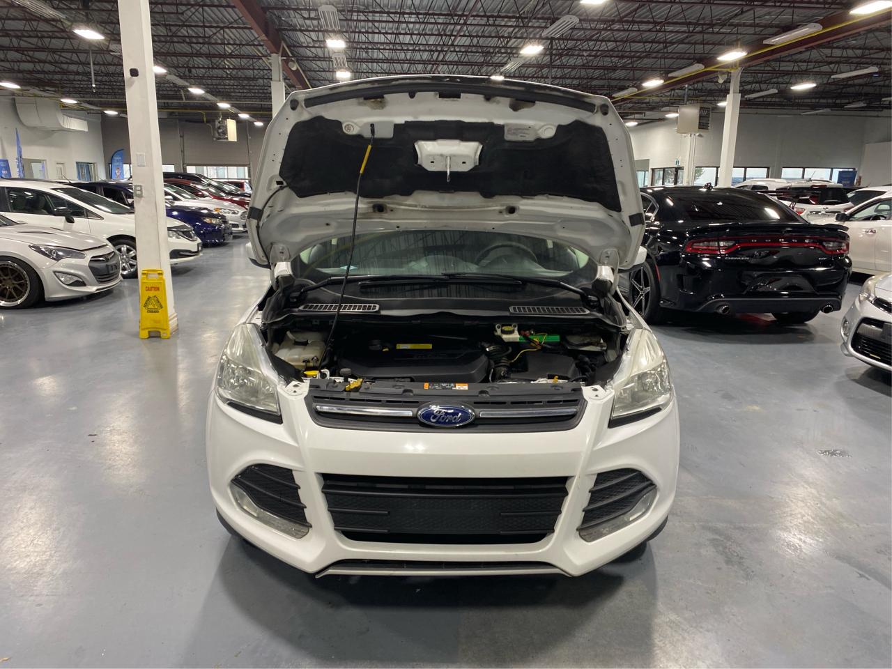 2014 Ford Escape SE Photo