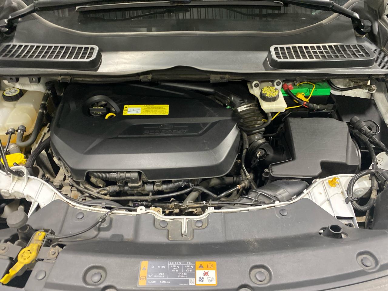 2014 Ford Escape SE Photo