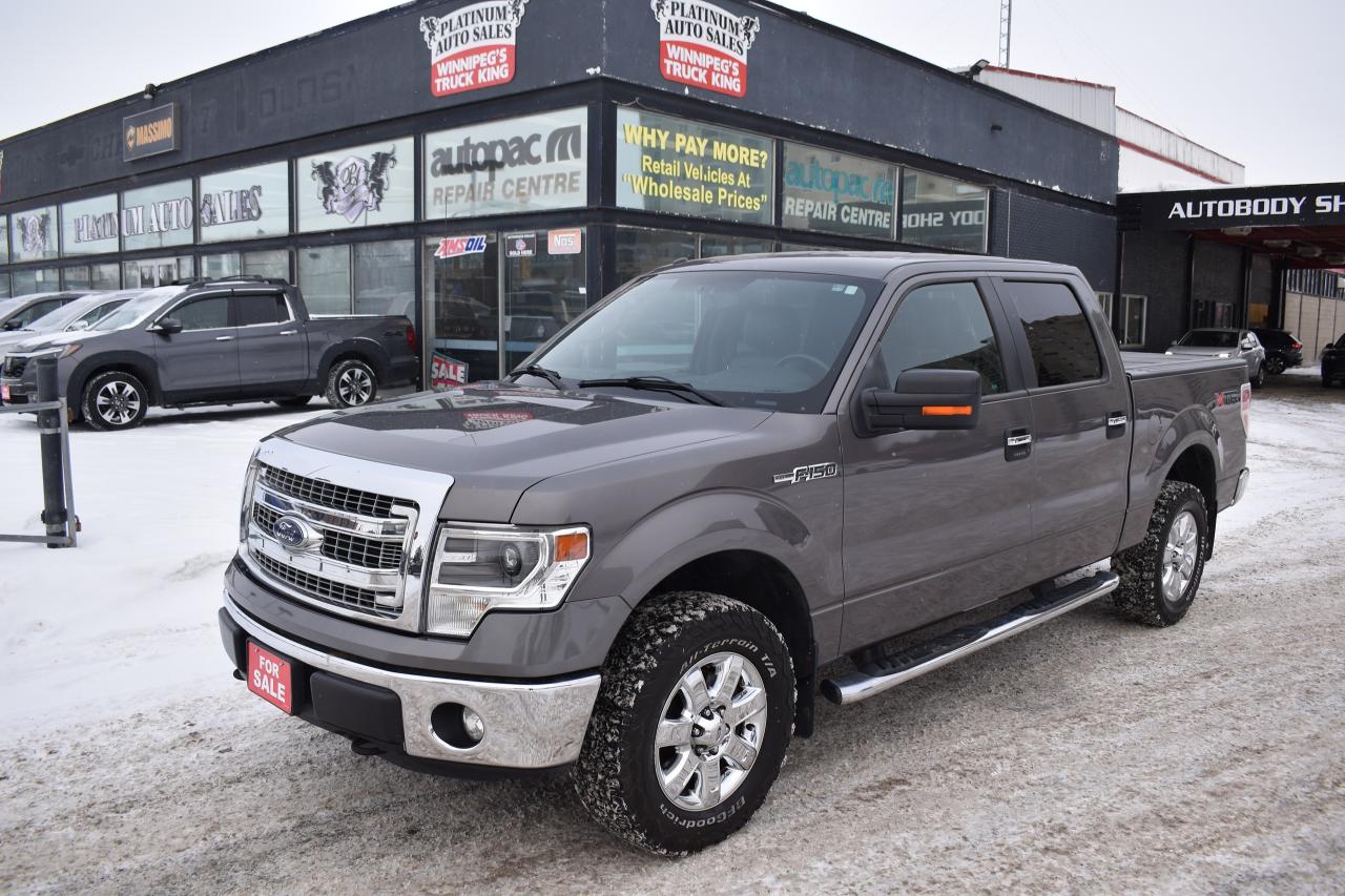 Used 2014 Ford F-150 XLT LEATHER 5.0L for sale in Winnipeg, MB