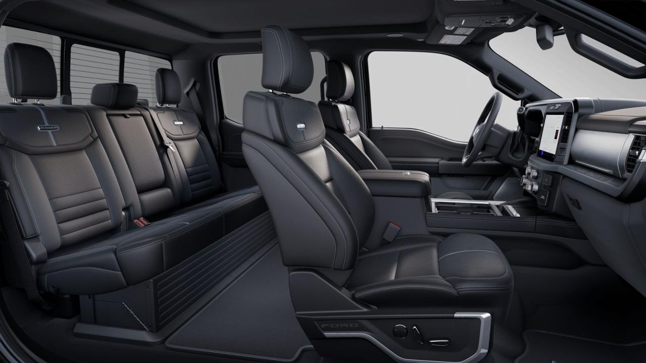 2025 Ford F-350 Super Duty SRW PLATINUM Photo5