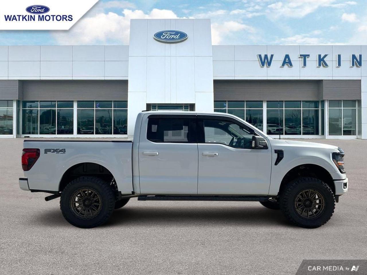 2025 Ford F-150 XLT Photo10