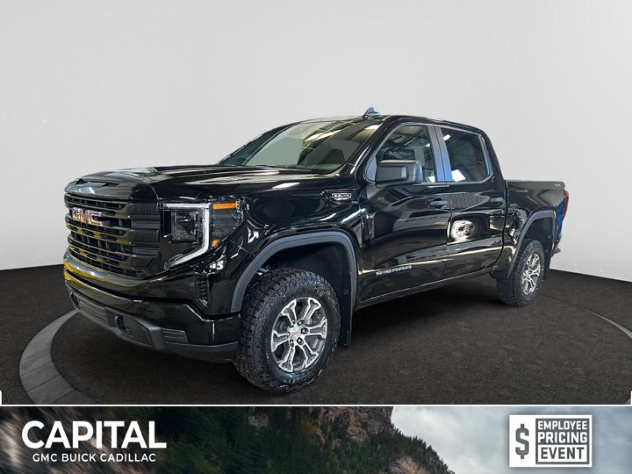 New 2025 GMC Sierra 1500 PRO for sale in Regina, SK