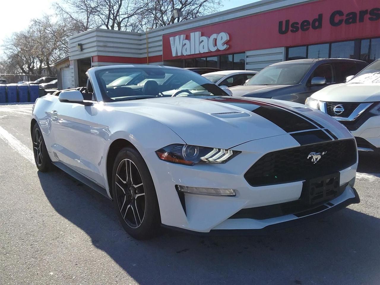 Used 2023 Ford Mustang EcoBoost Premium | Convertible | ONLY 29000 kms for sale in Ottawa, ON