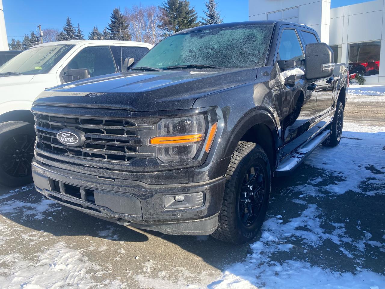 2024 Ford F-150 XLT Photo1