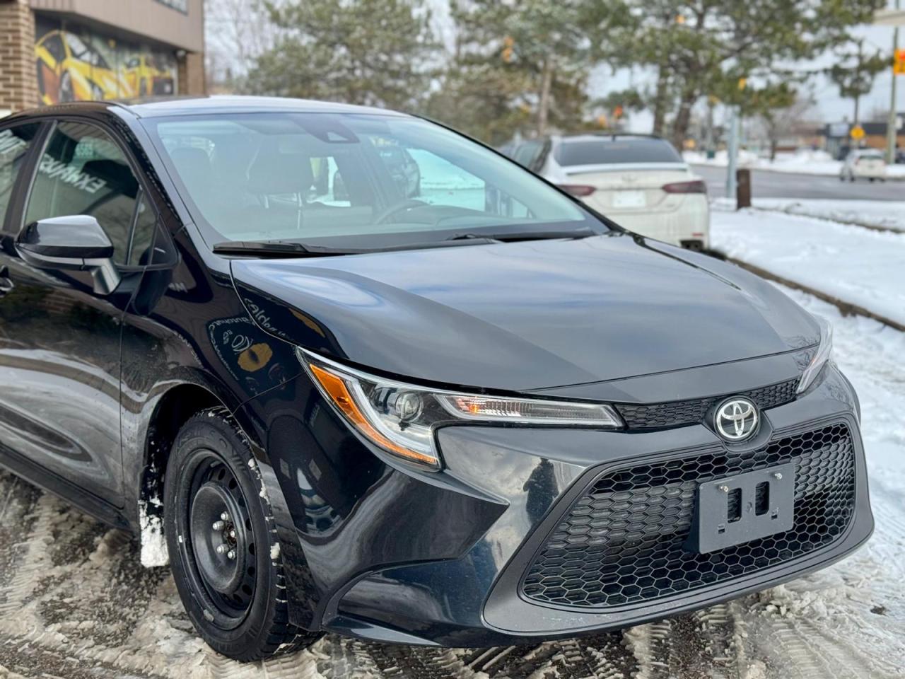 2020 Toyota Corolla  Photo4