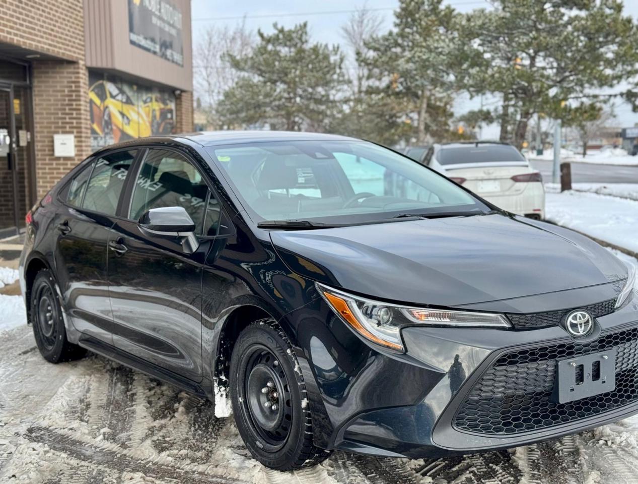 2020 Toyota Corolla  Photo3