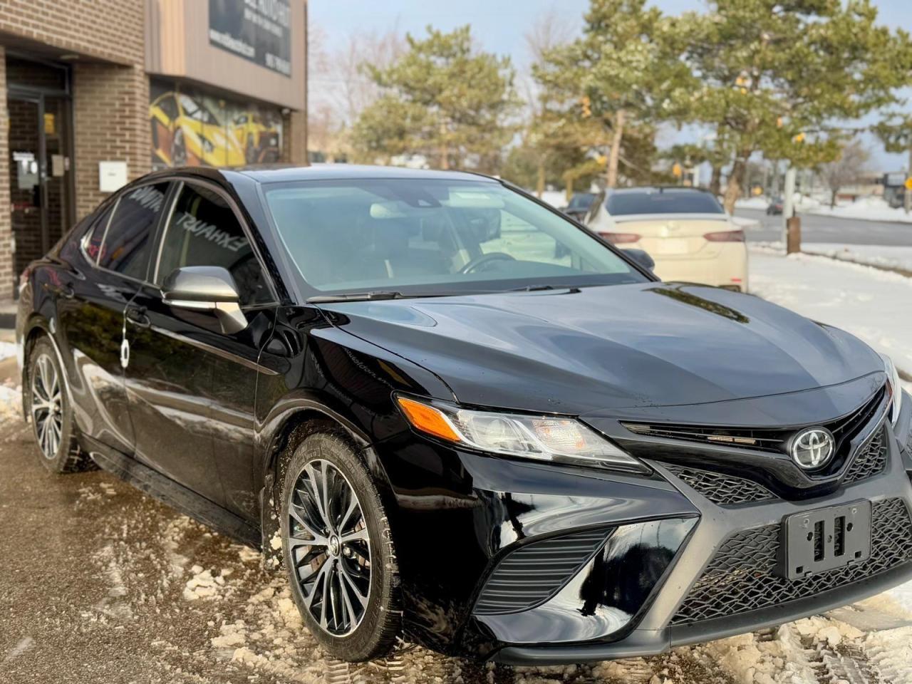 2020 Toyota Camry  Photo3