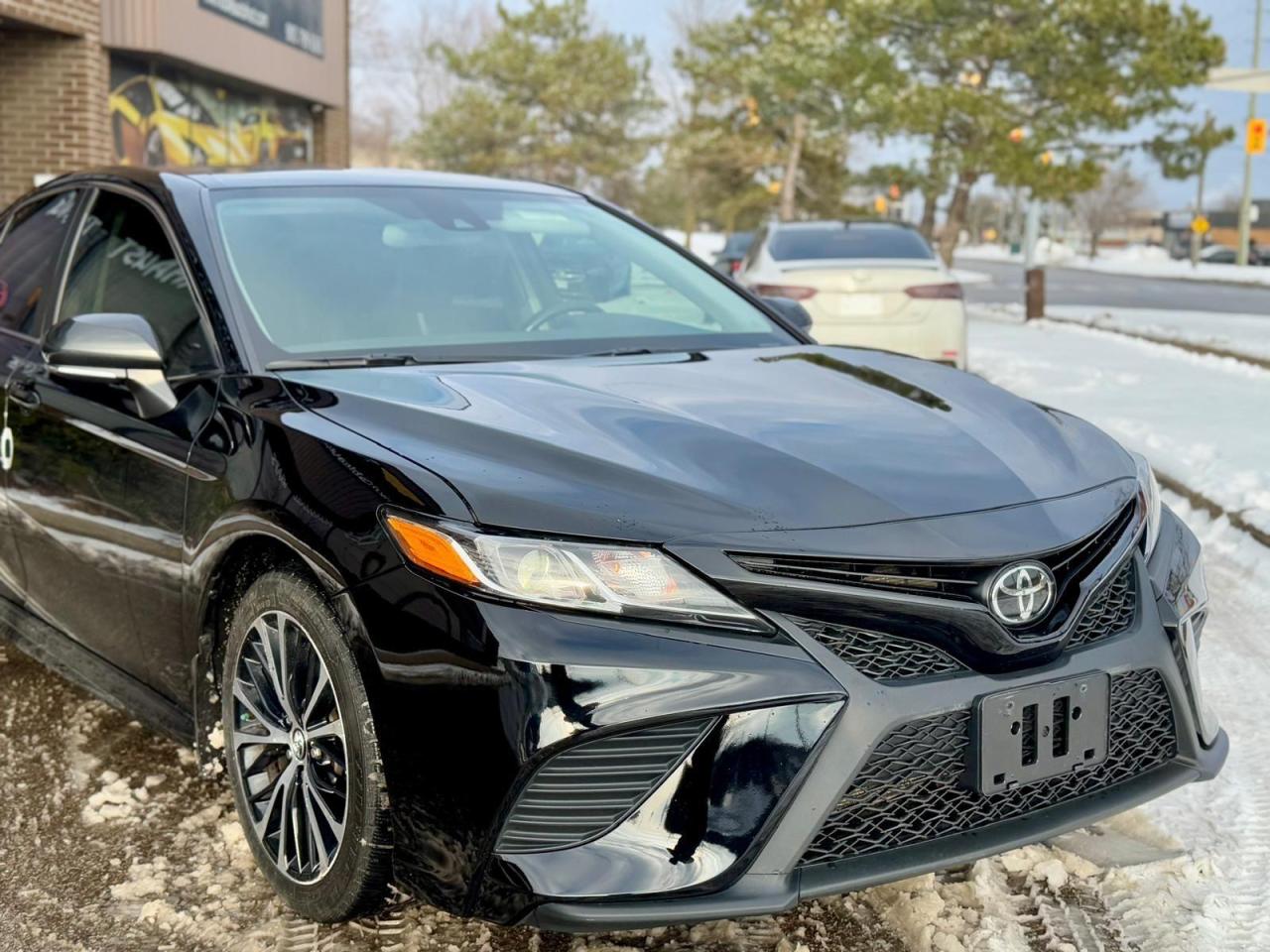 2020 Toyota Camry  Photo4