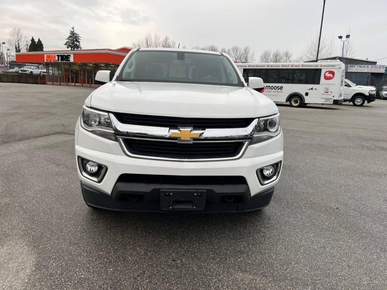 2019 Chevrolet Colorado 4WD Crew Cab 128.3" Z71 - Photo #3
