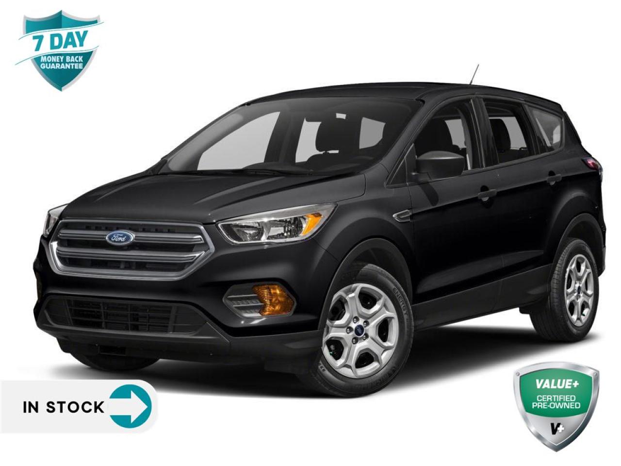 Used 2019 Ford Escape Titanium 2.0L ECOBOOST | NAV | SAFE AND SMART PKG for sale in Sault Ste. Marie, ON