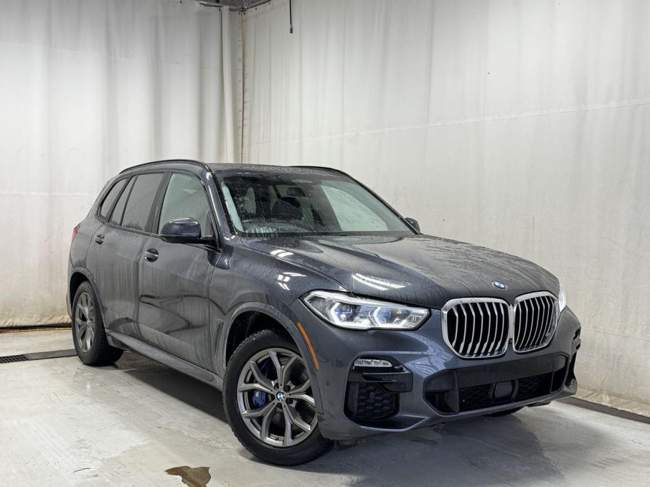 Used 2019 BMW X5 XDRIVE 40 for sale in Sherwood Park, AB