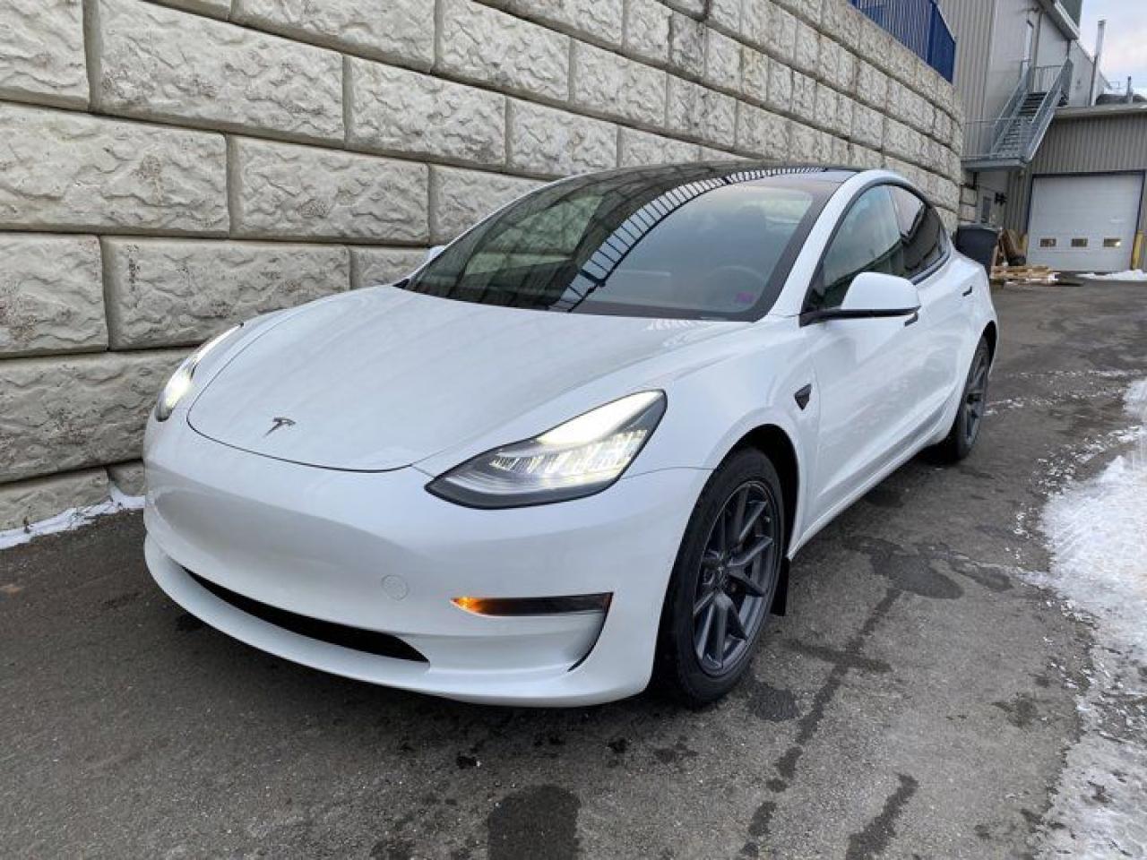 Used 2021 Tesla Model 3 Standard Range Plus - NAVIGATION - HEATED SEATS - FUN TO DRIVE for sale in Fredericton, NB