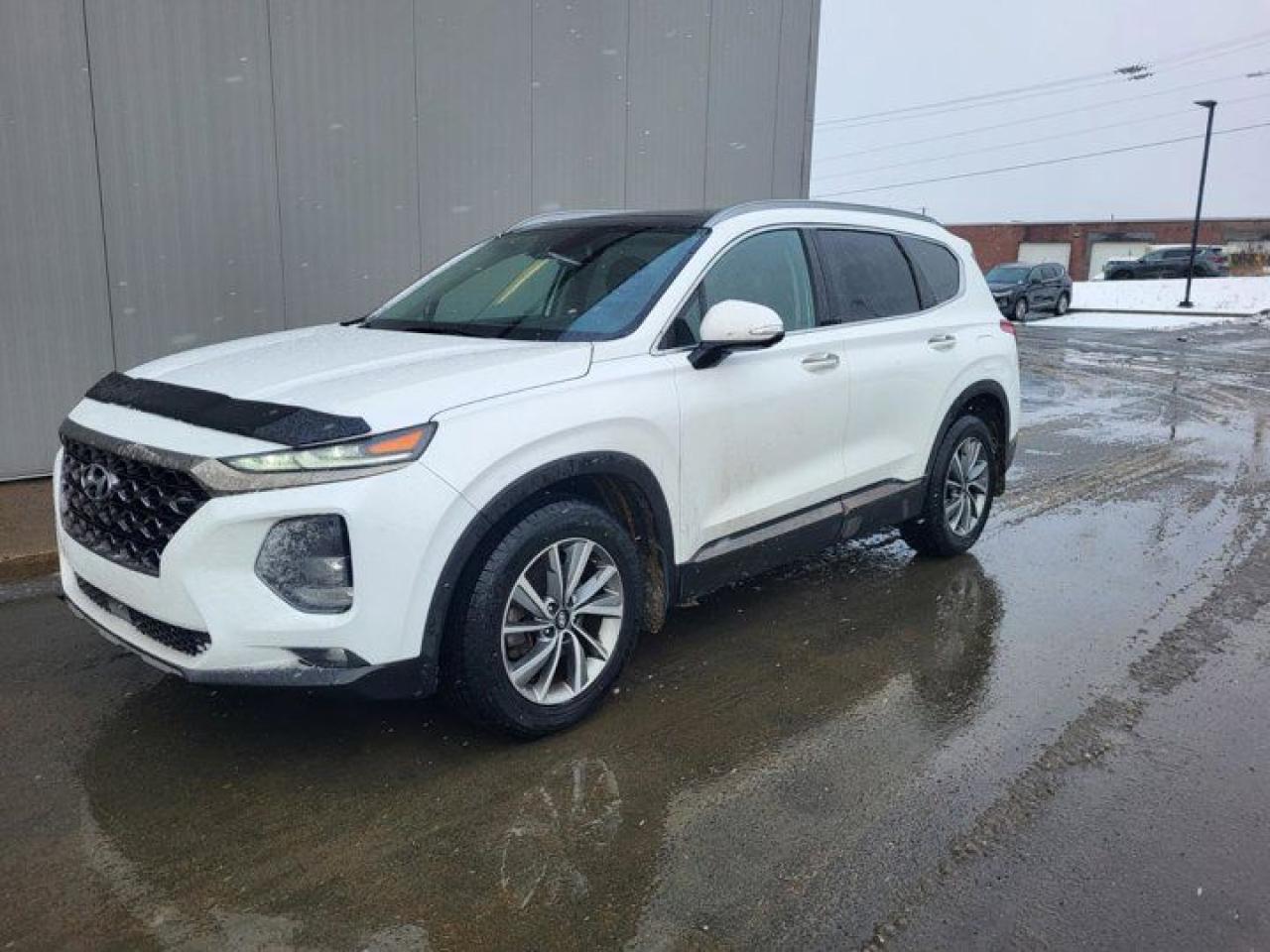 Used 2020 Hyundai Santa Fe Luxury for sale in Grand Falls-Windsor, NL